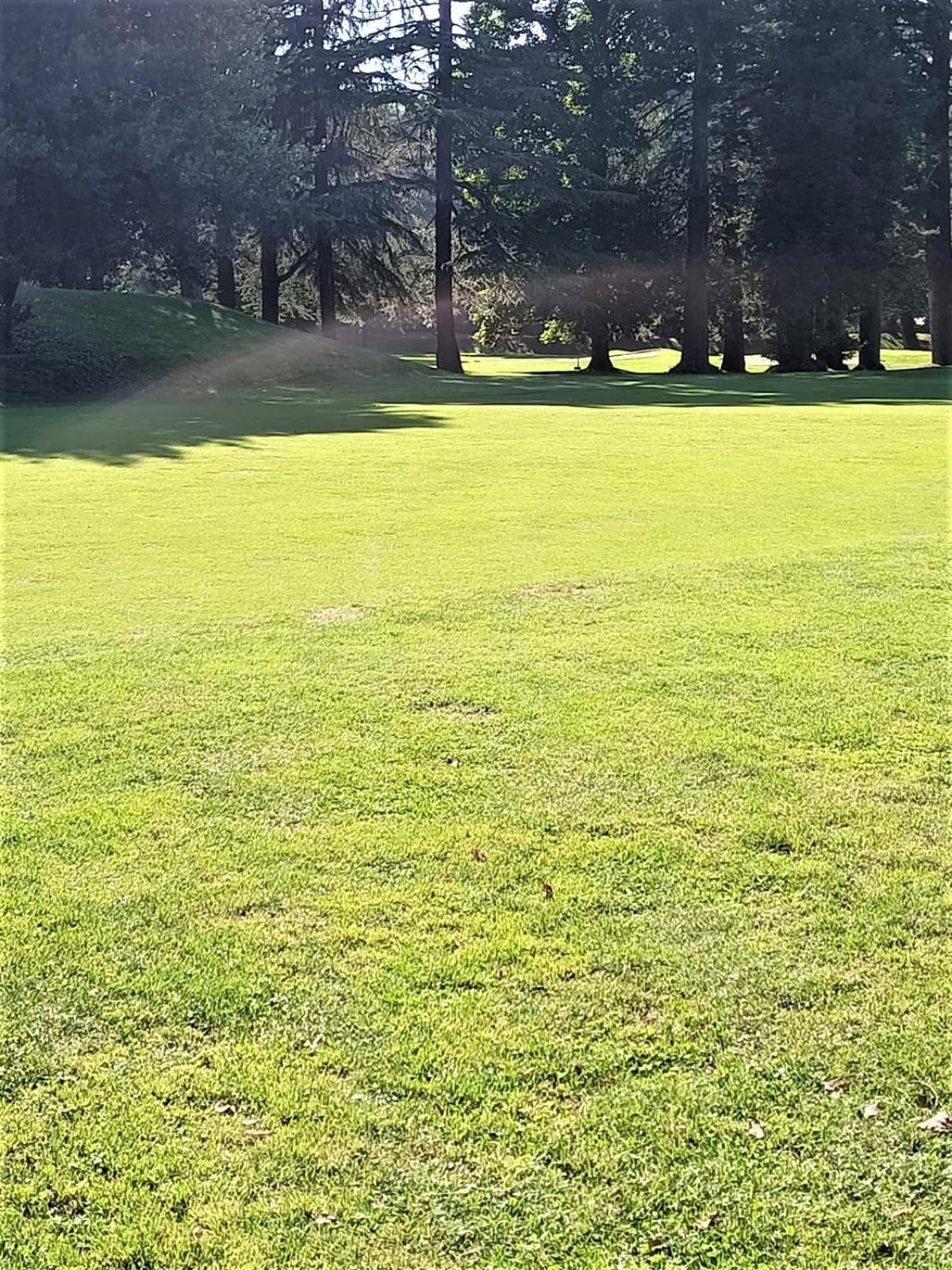Appartamento Fronte Del Golf Rapallo Esterno foto